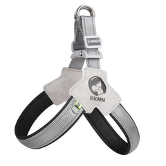 Collection image for: Dog Accessory