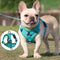 Dog Products