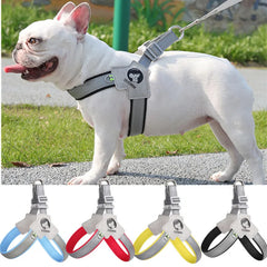 Collection image for: Home page