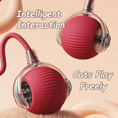Collection image for: Cat Toy