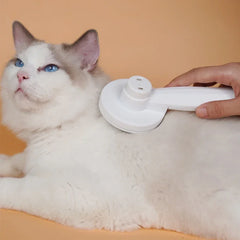 Collection image for: Cat Hygiene