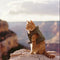 Cat Products