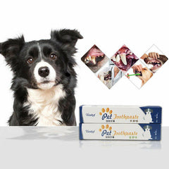 Collection image for: Dog products