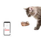 WiFI Feeder