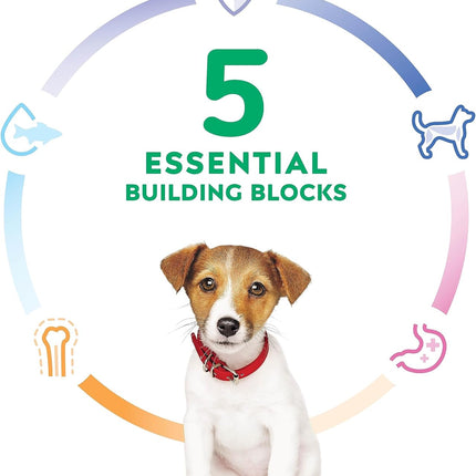 Hill's Science Diet Puppy Small Bites, Chicken Meal And Barley Recipe, Dry Dog Food, 7.03kg Bag