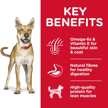 Hill'S Chicken and Barley Recipe Dog Food, 12 Kilograms
