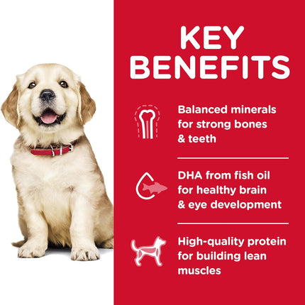 Hill's Science Diet Puppy Large Breed Dry Dog Food 12kg