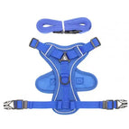 Blue S