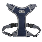 S / Navy Blue