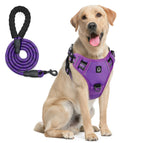 S / PURPLE