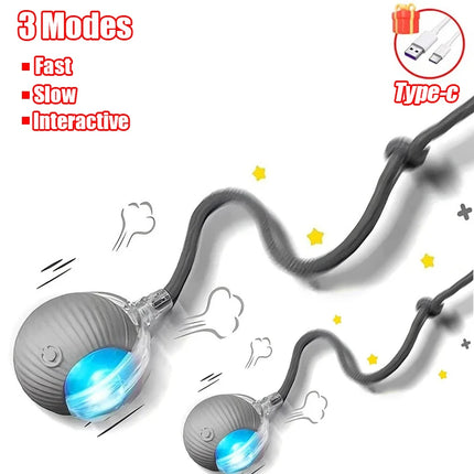 S19f34a6686ab408da8369f8f2cff3c12n