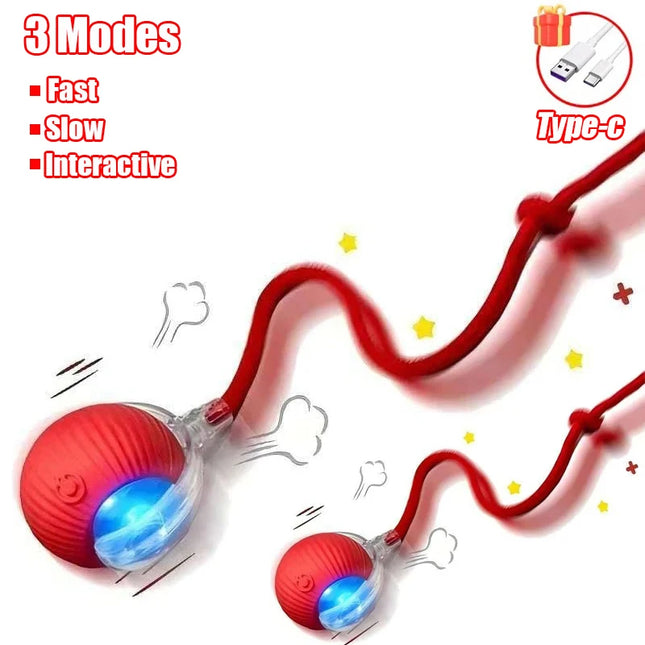 S4c5211f11d9c41d3b51ae882a395c31ed