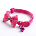 Rose red / CHINA
