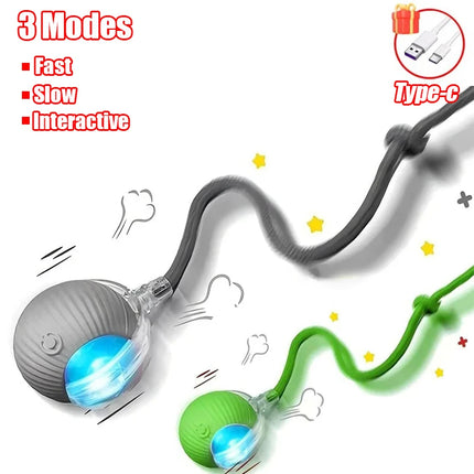 S5dddb59480384350adcbdc34c99e6848p