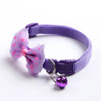 Purple / CHINA