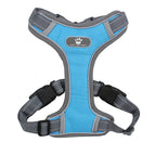 S / Light Blue