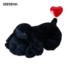 black dog Heartbeat
