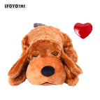 brow dog Heartbeat