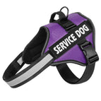 S / PURPLE