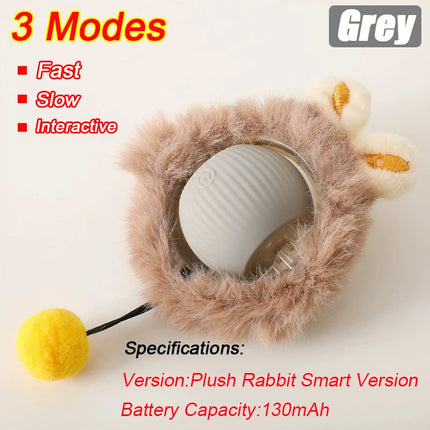 Sd4217e0d29a047a38d7fef58d4747e57Z