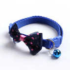 Blue / CHINA