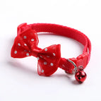 Red / CHINA