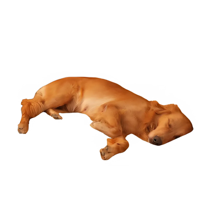 baafd8ba-b9c5-4afe-8834-d0a6d00ecb9a