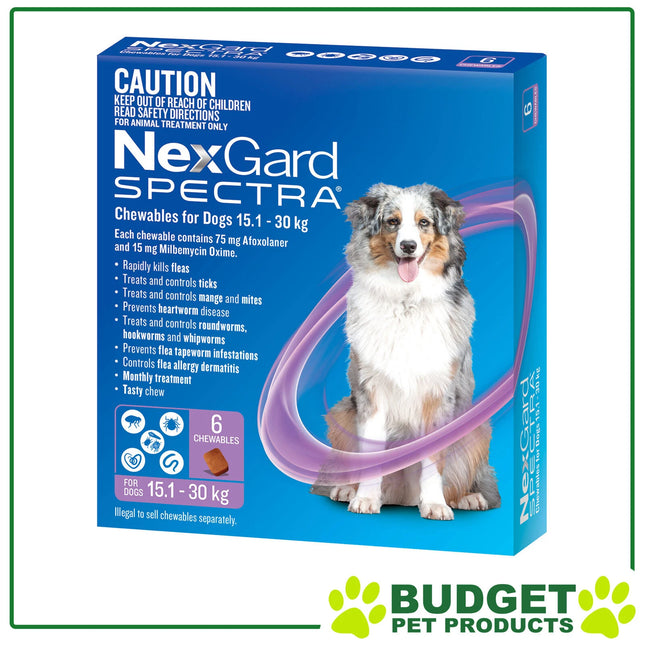 NexGard Spectra Chewables For Large Dog Food Purple 15.1-30kg 6 Pack
