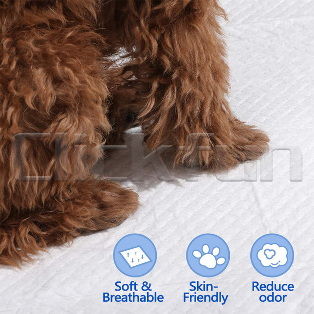 60x60cm 40/400X Pet Training Pads Puppy Dog Cat Indoor Super Absorben Toilet