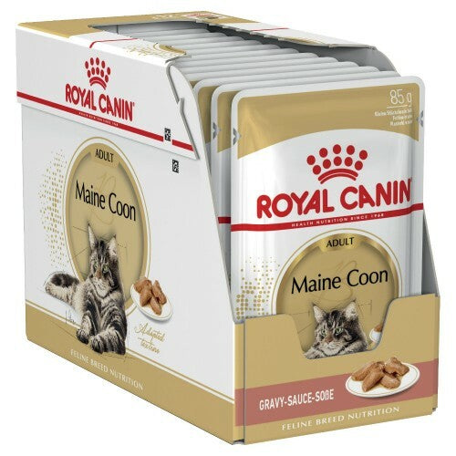 Royal Canin Adult Maine Coon in Gravy Wet Cat Food 12x85g
