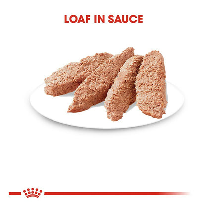 Royal Canin Adult Instinctive Loaf Cat Wet Food 12 x 85g