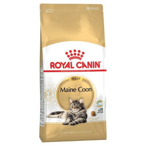 Royal Canin Adult Maine Coon Dry Cat Food 10kg
