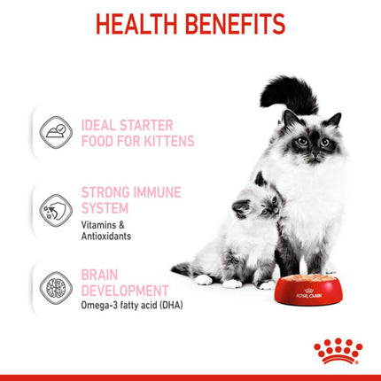 Royal Canin Cat Mother And Babycat Mousse Wet Food Cans 195g x 12